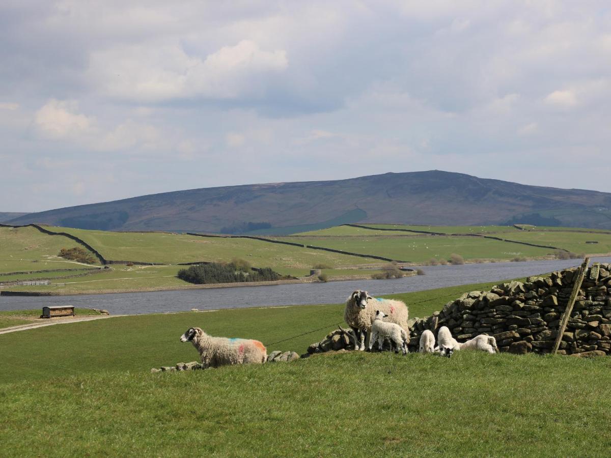 Otter Lodge Skipton Dış mekan fotoğraf